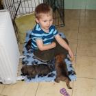 4 weeks old with kamil.jpg